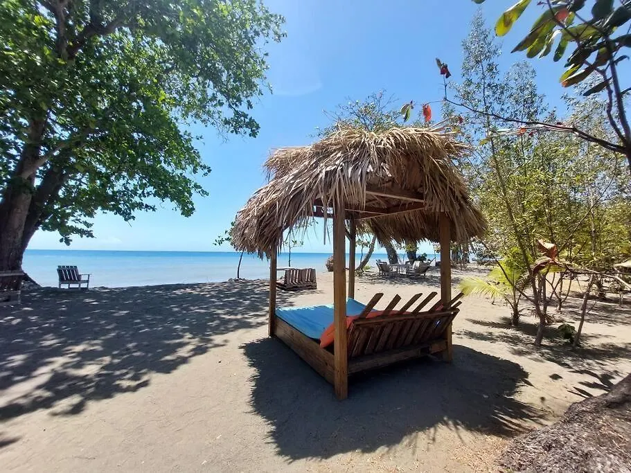 Apartment Apartamento En Playa Coconut @Drvacationsrental Palenque Dominican Republic