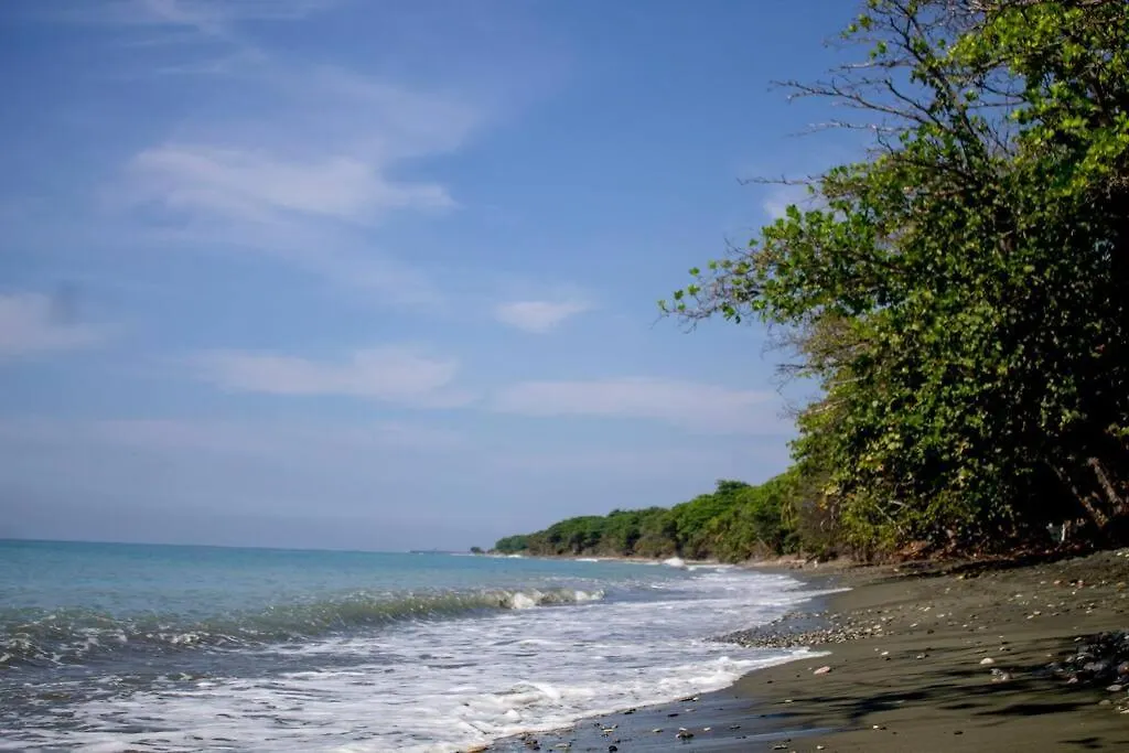 Apartment Apartamento En Playa Coconut @Drvacationsrental Palenque