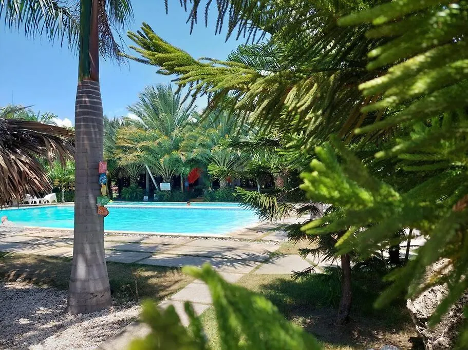 Apartamento En Playa Coconut @Drvacationsrental Palenque