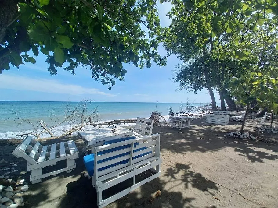 Apartment Apartamento En Playa Coconut @Drvacationsrental Palenque
